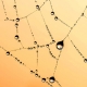 Cloud Network Providers
